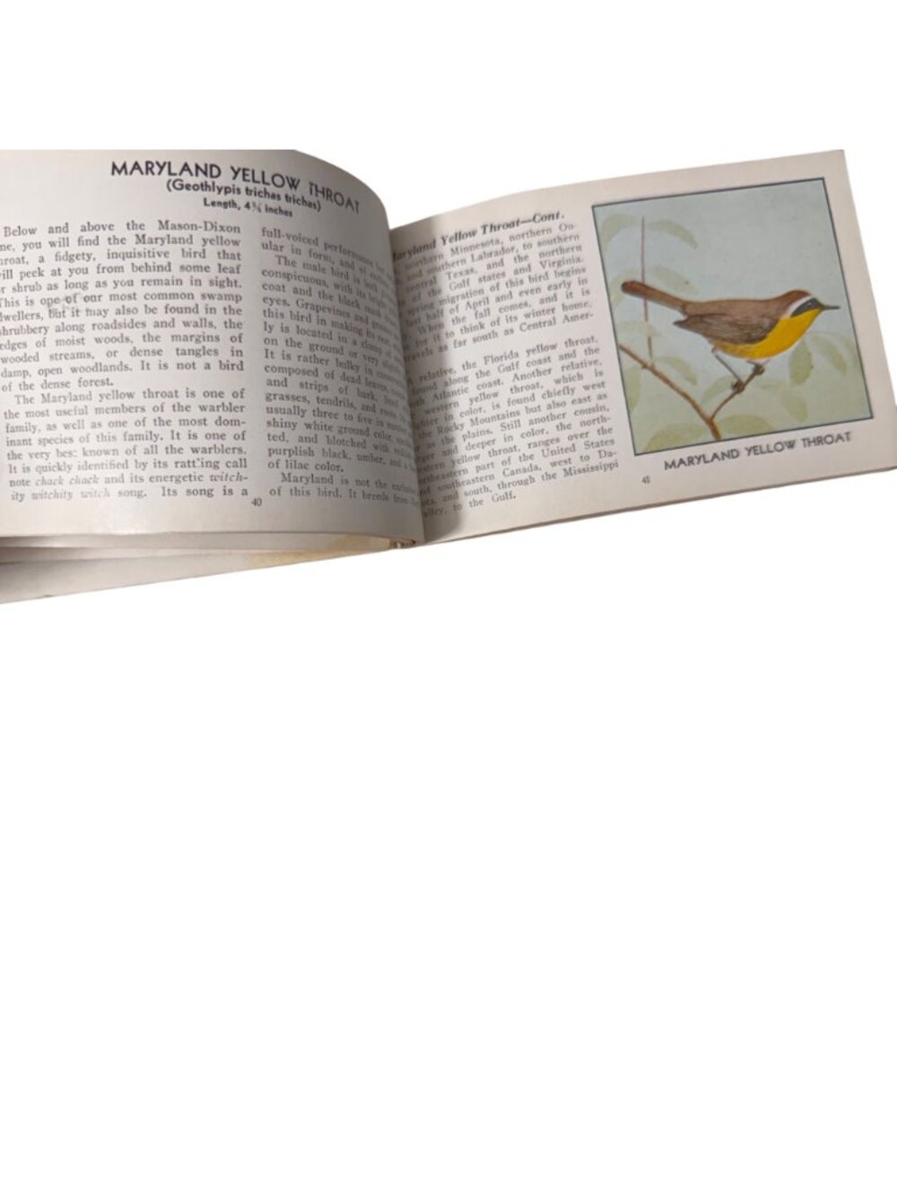 Vintage 1931 "The Green Book Of Birds Of America" By Frank G. Ashbrook - Picture 10 of 16